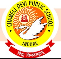 Chameli Devi Public School