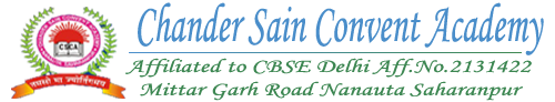 Chander Sain Convent Academy