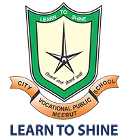 City Vocational Public School
