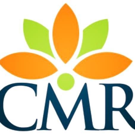 Cmr International School