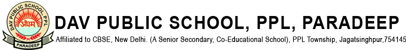 D A V Public School