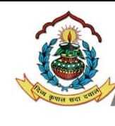 D V M Public School