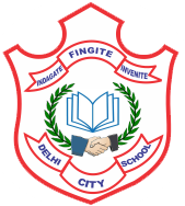 Delhi City School
