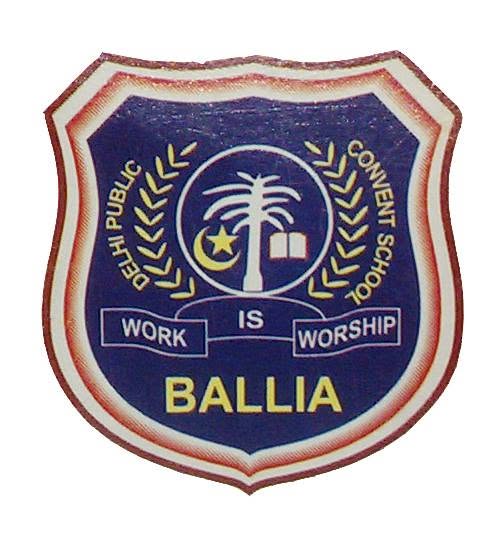 Delhi Public Convent School