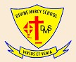 Divine Mercy School