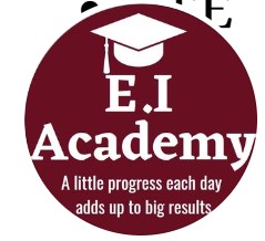 E.I. Academy