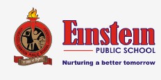 Einstein Public School
