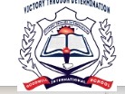 Goodwill International School