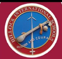 Hillock International School