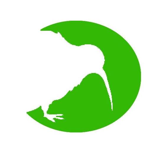 Kiwi English Institute