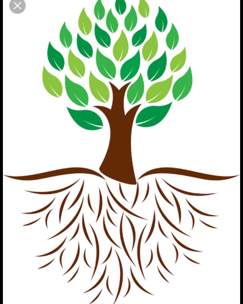Learning Roots Play School And Day Care Center