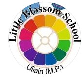 Little Blossom kid's Play School
