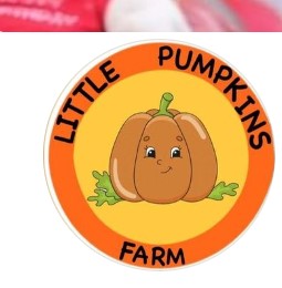 Little Pumpkins Farm Kindergarten And Day Care School