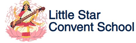 Little Star Convent School