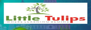 Little Tulips School