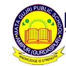 Mata Gujri Public School