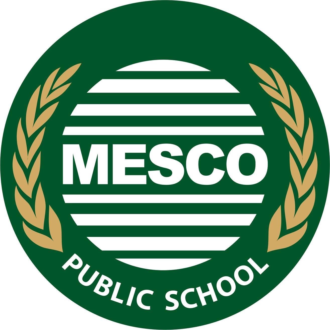 Mesco Public School