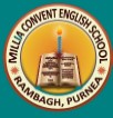 Millia Convent English School