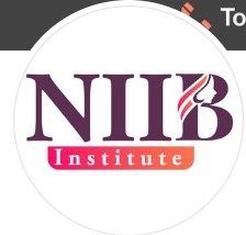 NIIB Institute