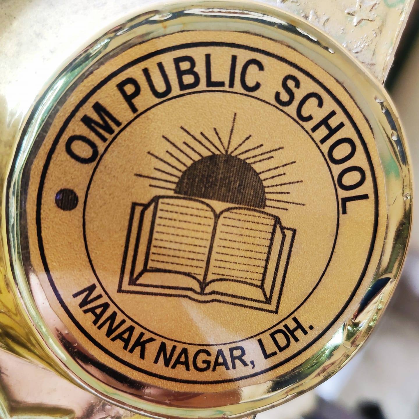 Om Public School