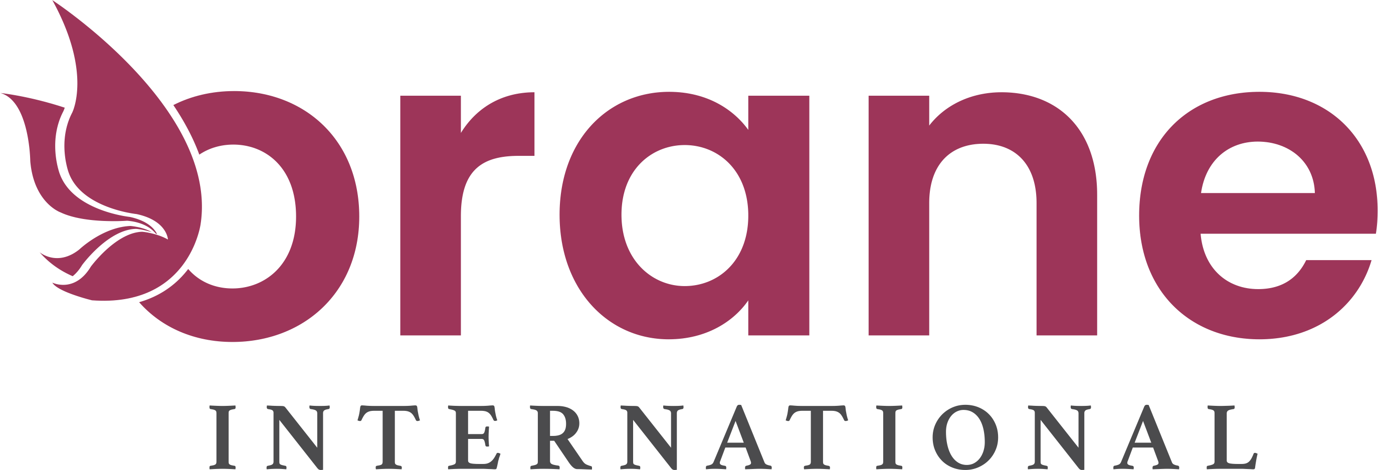 Orane International School of Beauty & Wellness