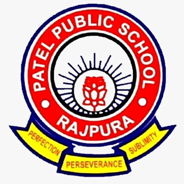 Patel Public School