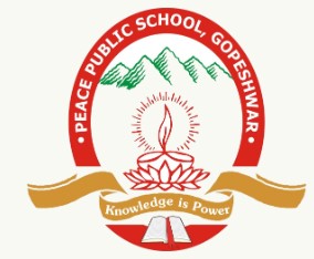 Peace Public School
