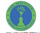 Pearl Drop School