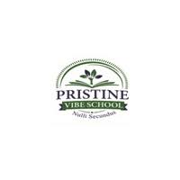 Pristine Vibe School