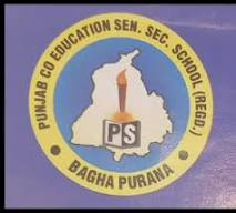 Punjab Co- Edu. Sen. Sec. School