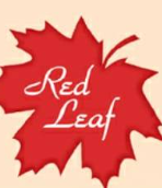 Red Leaf Ielts Institute
