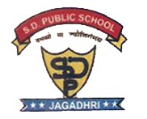S.D. Public School