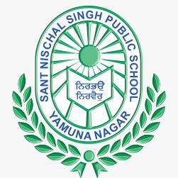 Sant Nischal Singh Public School