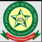 Satluj Public School