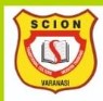 Scion International School