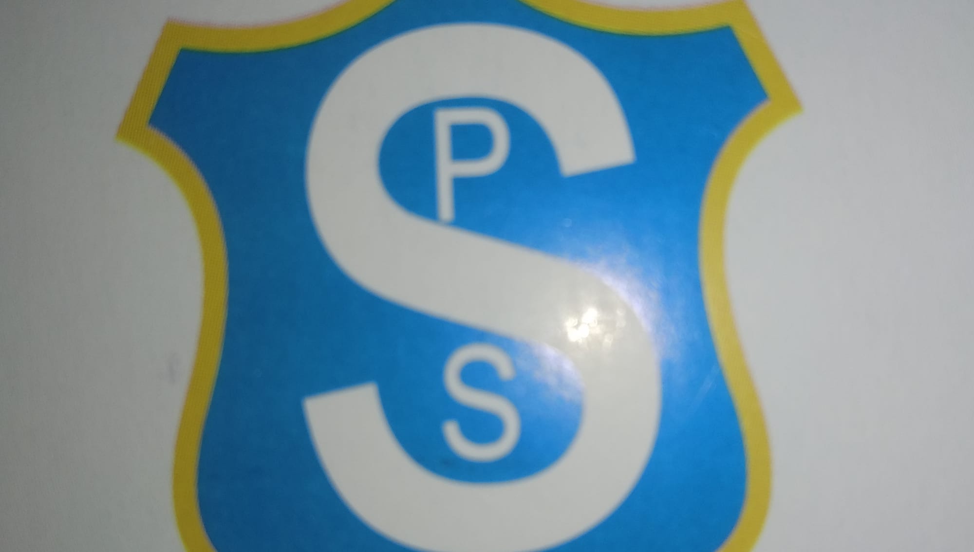 Shastri public school