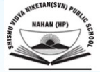 Shishu Vidya Niketan Public School