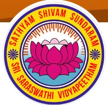 Sri Vidyaranya International School