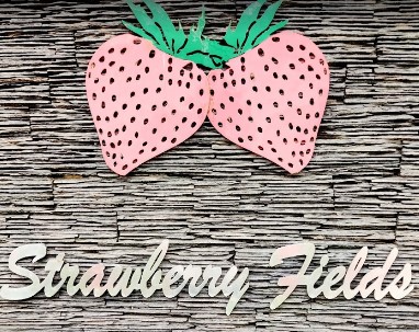 Strawberry Fields Play Way School