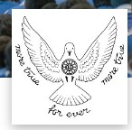 The Mother's International School