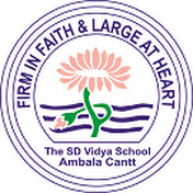The S.D. Vidya School