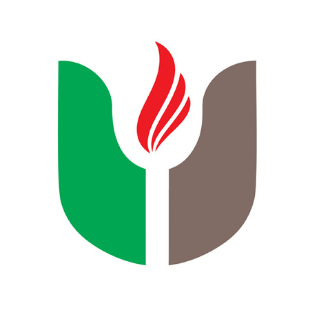 The United Public School