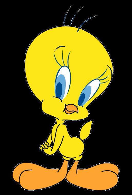 Tweety Preschool & Daycare
