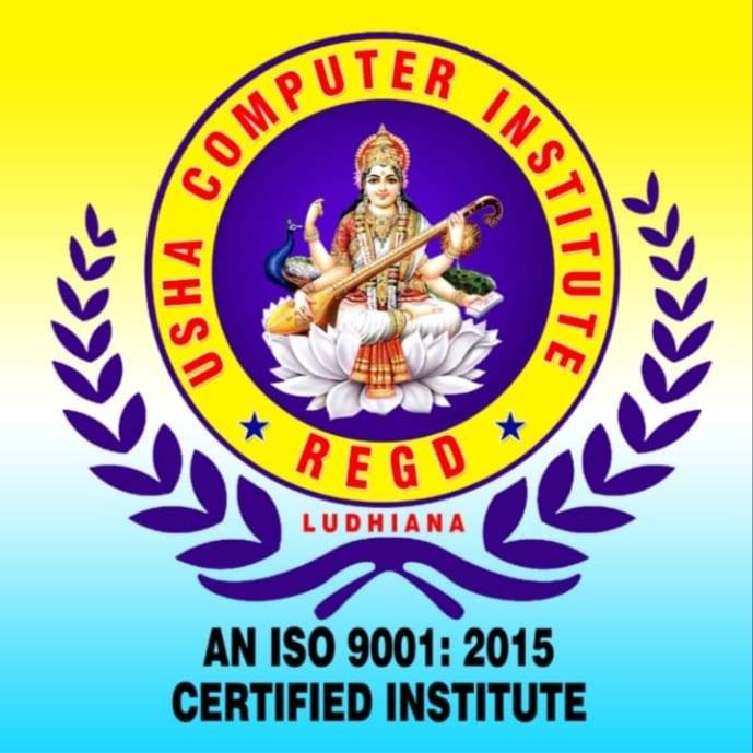Usha Computer Institute
