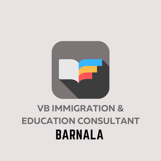VB Immigration & Education Consultant