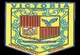 Victoria International Public School