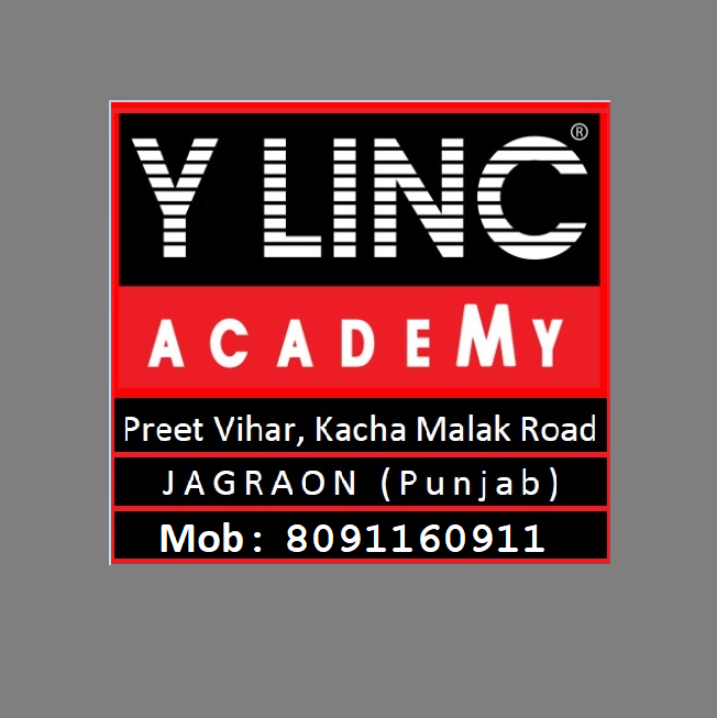 Y Linc Academy