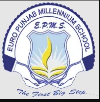 Euro Punjab Millennium School Kot Ise Khan logo