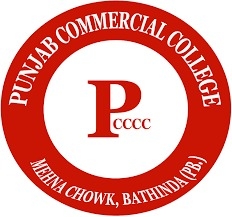 Punjab Commercial College & Computer Centre logo