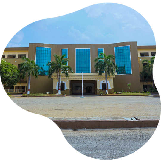 Vidyaa Vikas International School
